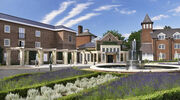 How Cedar Capital’s hotel portfolio generated £810k of verified energy savings